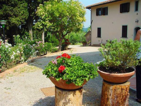 Fattoria Casanova Βίλα Palaia Εξωτερικό φωτογραφία
