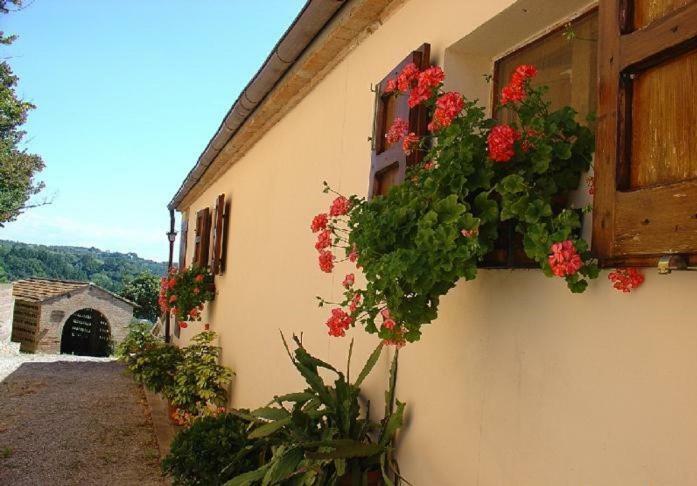 Fattoria Casanova Βίλα Palaia Εξωτερικό φωτογραφία