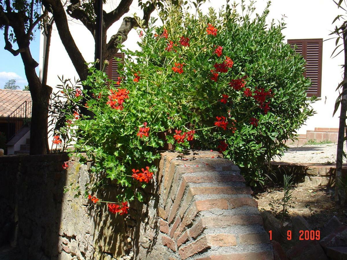 Fattoria Casanova Βίλα Palaia Εξωτερικό φωτογραφία