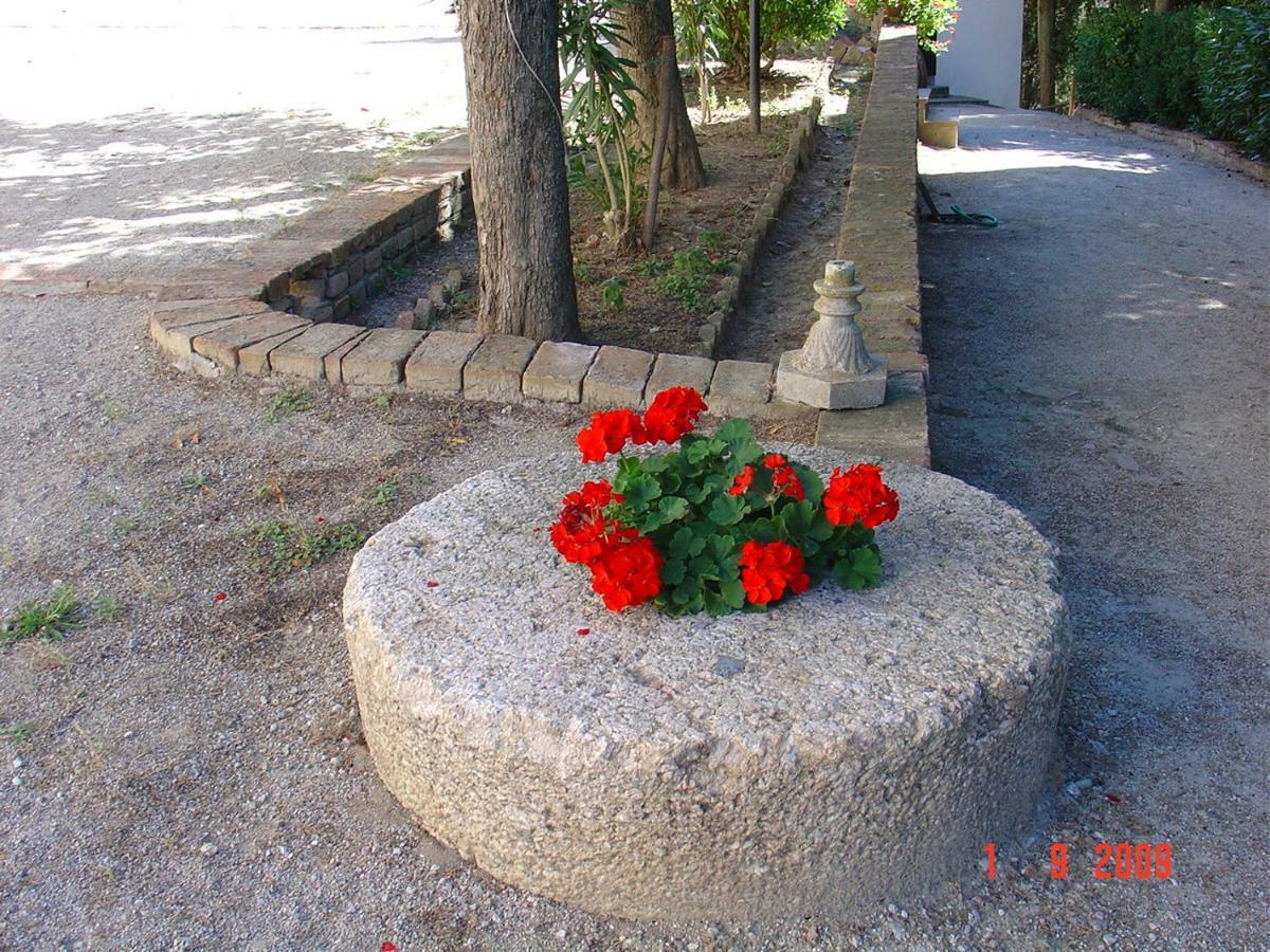 Fattoria Casanova Βίλα Palaia Εξωτερικό φωτογραφία