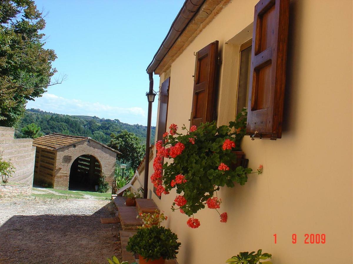 Fattoria Casanova Βίλα Palaia Εξωτερικό φωτογραφία